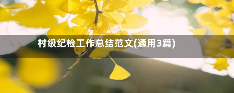 村级纪检工作总结范文(通用3篇)