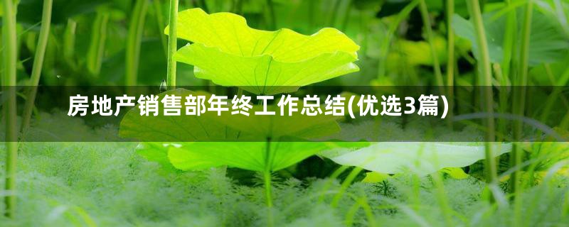 房地产销售部年终工作总结(优选3篇)