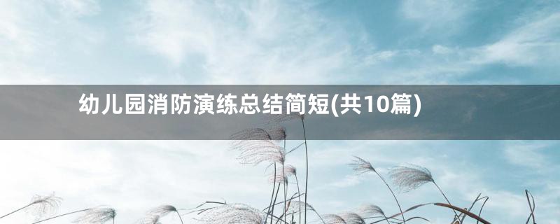 幼儿园消防演练总结简短(共10篇)