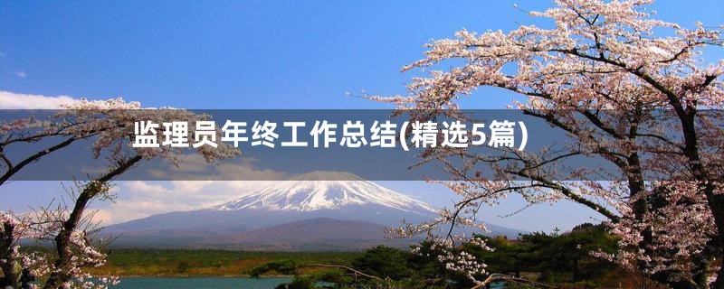 监理员年终工作总结(精选5篇)