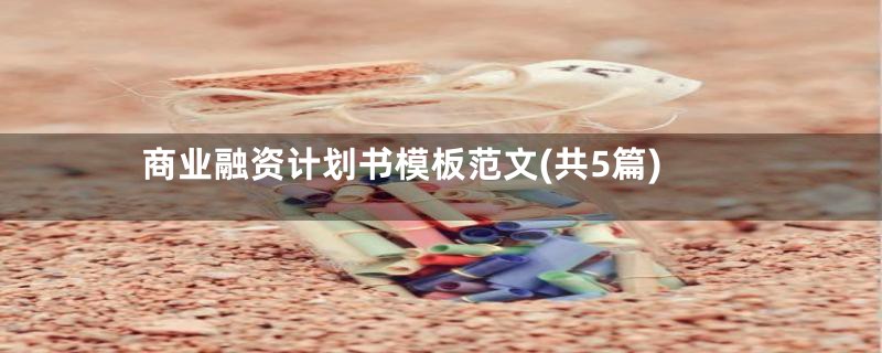 商业融资计划书模板范文(共5篇)