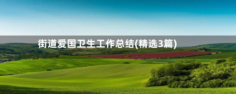 街道爱国卫生工作总结(精选3篇)