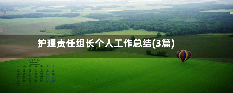 护理责任组长个人工作总结(3篇)