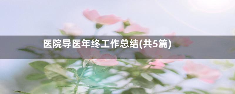 医院导医年终工作总结(共5篇)