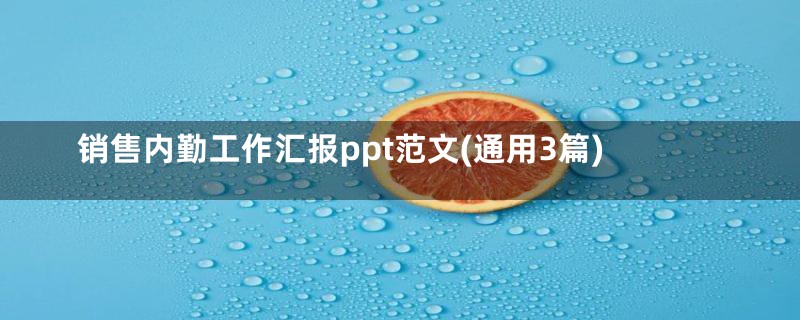 销售内勤工作汇报ppt范文(通用3篇)