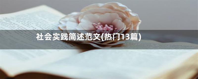 社会实践简述范文(热门13篇)