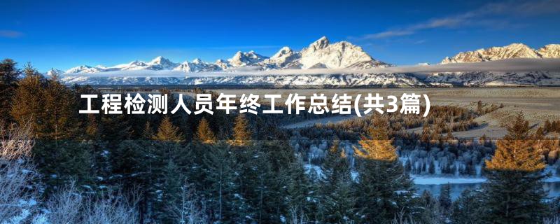 工程检测人员年终工作总结(共3篇)