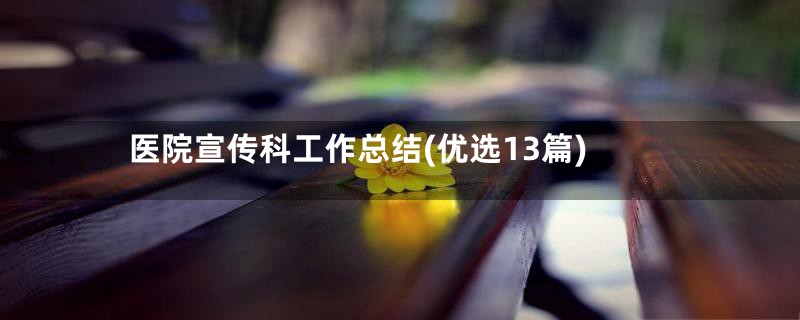 医院宣传科工作总结(优选13篇)