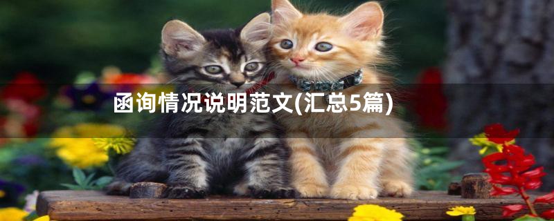 函询情况说明范文(汇总5篇)