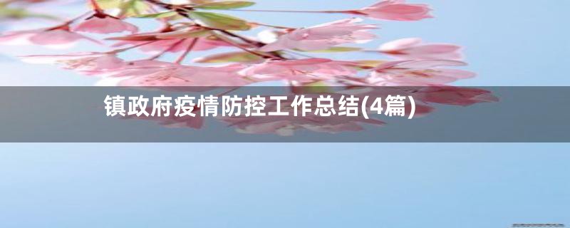 镇政府疫情防控工作总结(4篇)