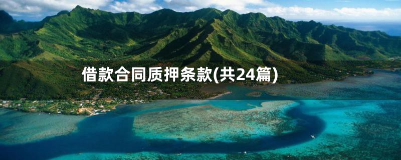 借款合同质押条款(共24篇)