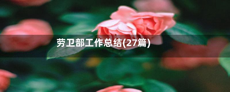 劳卫部工作总结(27篇)