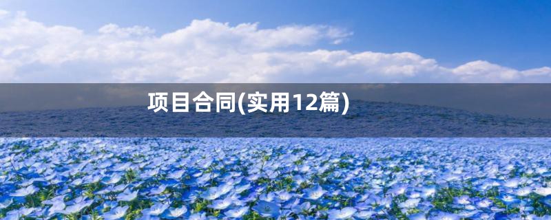 项目合同(实用12篇)