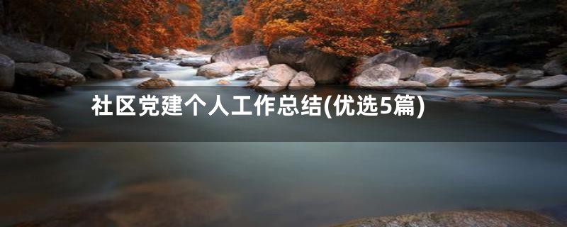 社区党建个人工作总结(优选5篇)