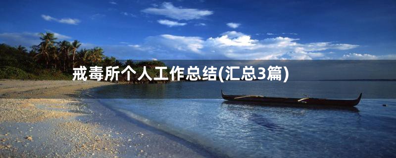 戒毒所个人工作总结(汇总3篇)