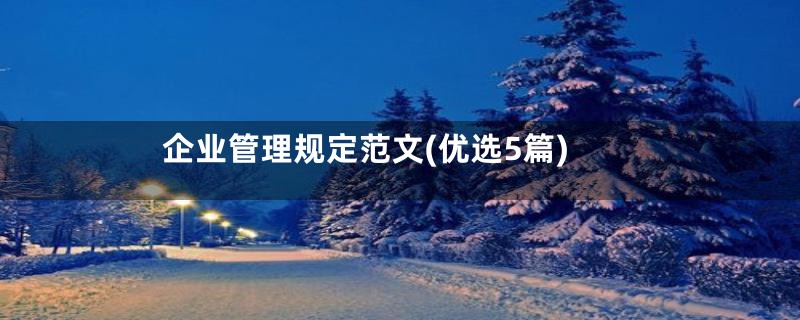 企业管理规定范文(优选5篇)