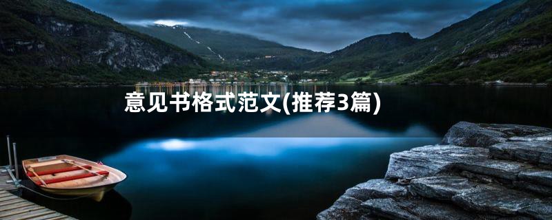意见书格式范文(推荐3篇)
