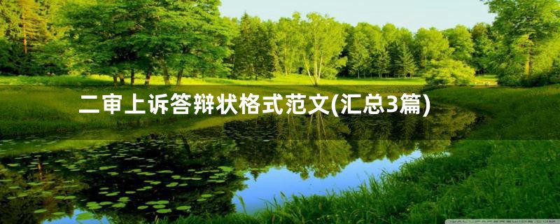 二审上诉答辩状格式范文(汇总3篇)