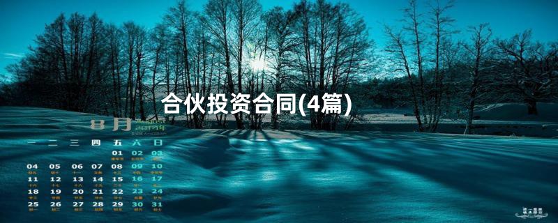 合伙投资合同(4篇)