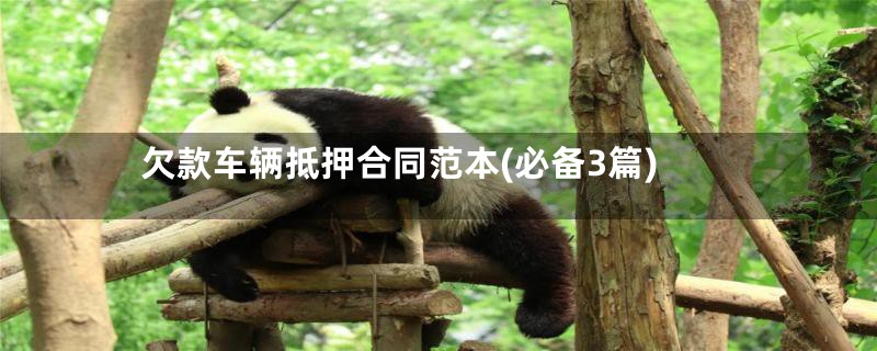欠款车辆抵押合同范本(必备3篇)