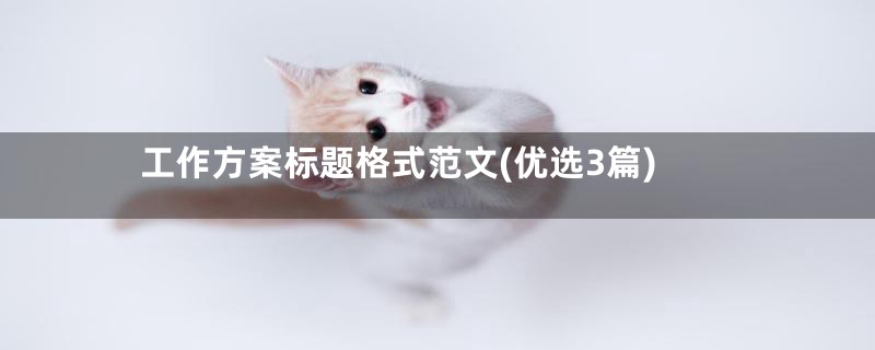 工作方案标题格式范文(优选3篇)