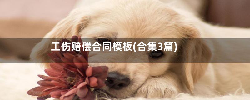 工伤赔偿合同模板(合集3篇)