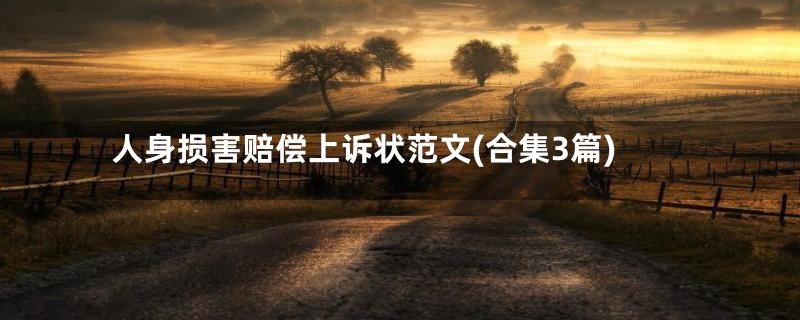 人身损害赔偿上诉状范文(合集3篇)