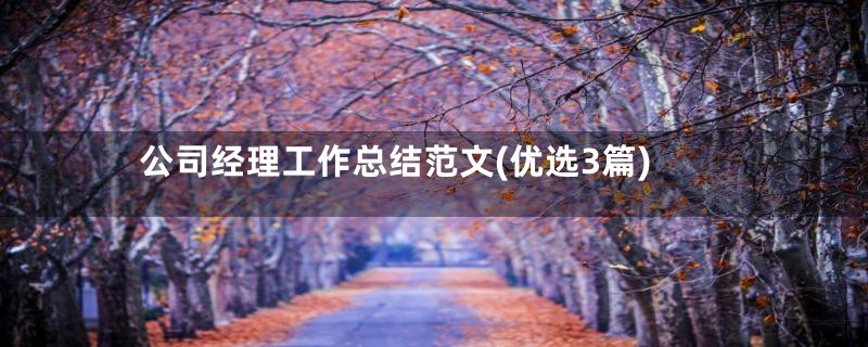 公司经理工作总结范文(优选3篇)