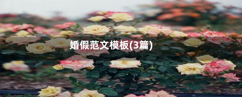 婚假范文模板(3篇)