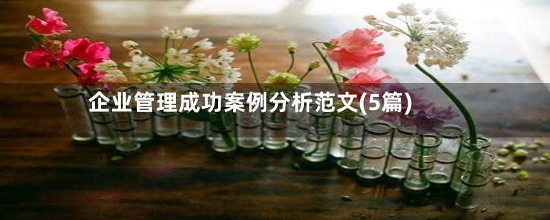 企业管理成功案例分析范文(5篇)