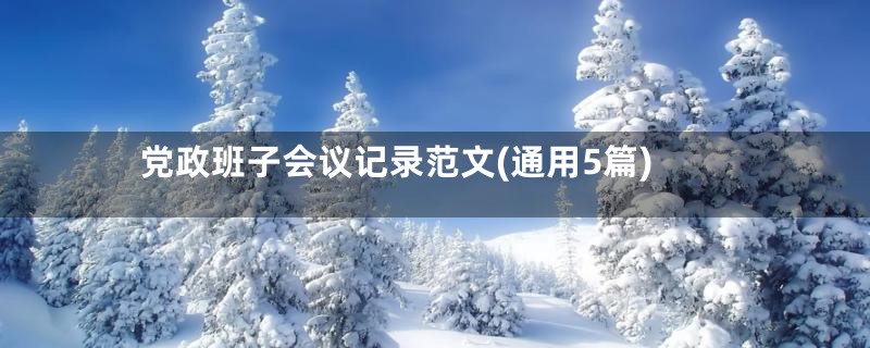 党政班子会议记录范文(通用5篇)
