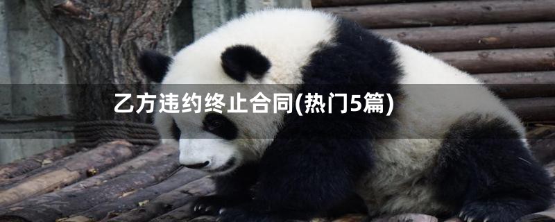 乙方违约终止合同(热门5篇)