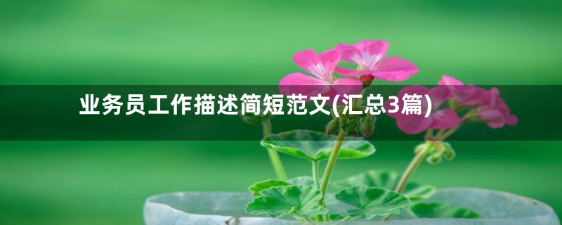 业务员工作描述简短范文(汇总3篇)