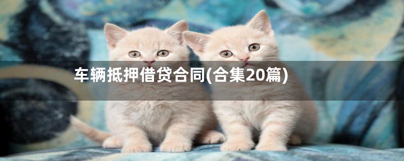 车辆抵押借贷合同(合集20篇)