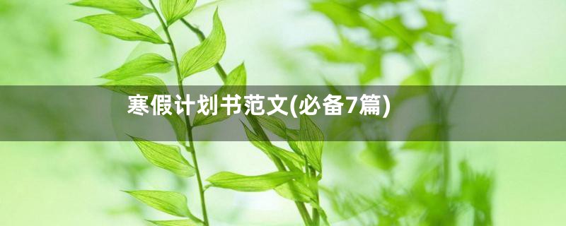 寒假计划书范文(必备7篇)