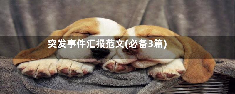 突发事件汇报范文(必备3篇)