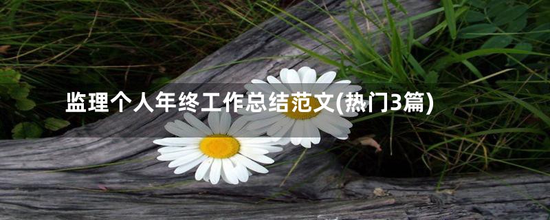 监理个人年终工作总结范文(热门3篇)