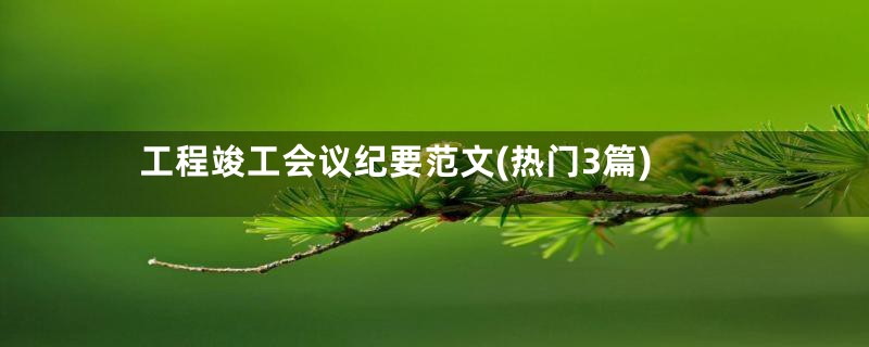 工程竣工会议纪要范文(热门3篇)