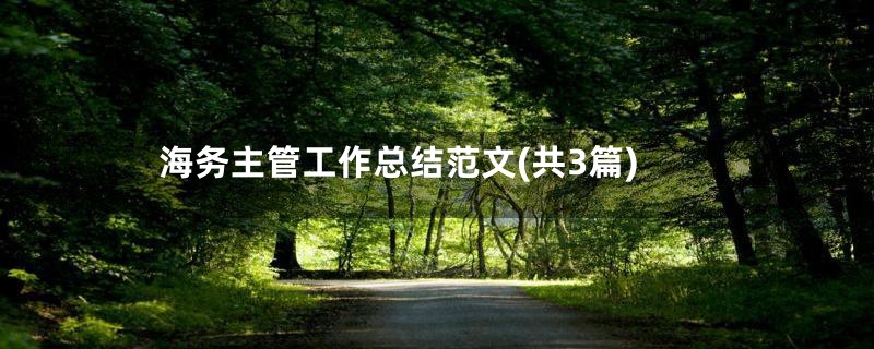 海务主管工作总结范文(共3篇)
