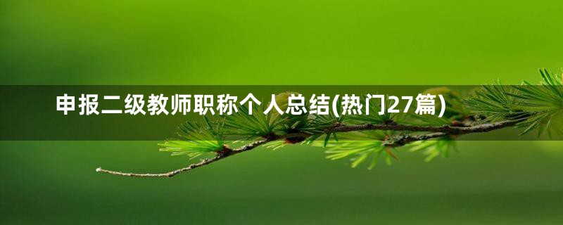 申报二级教师职称个人总结(热门27篇)