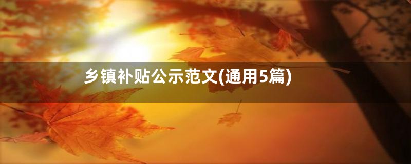 乡镇补贴公示范文(通用5篇)