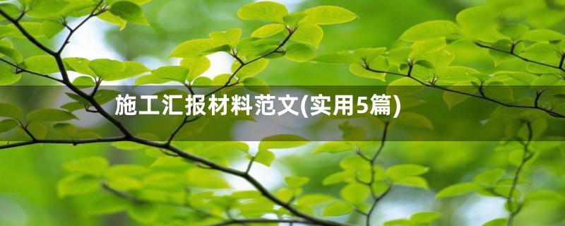 施工汇报材料范文(实用5篇)