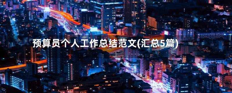 预算员个人工作总结范文(汇总5篇)