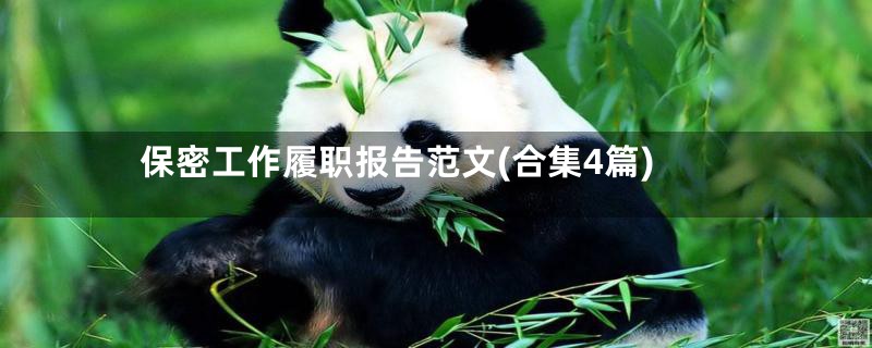 保密工作履职报告范文(合集4篇)