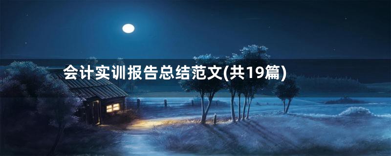 会计实训报告总结范文(共19篇)