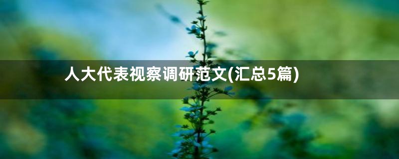人大代表视察调研范文(汇总5篇)