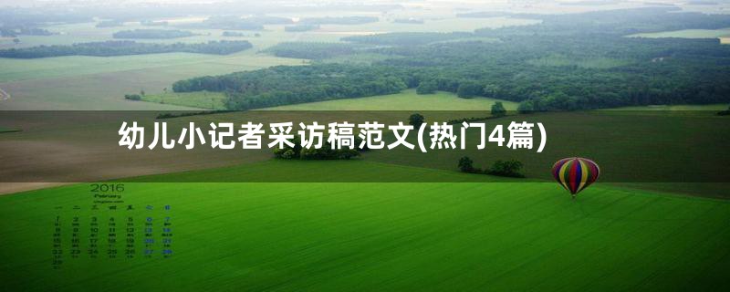 幼儿小记者采访稿范文(热门4篇)