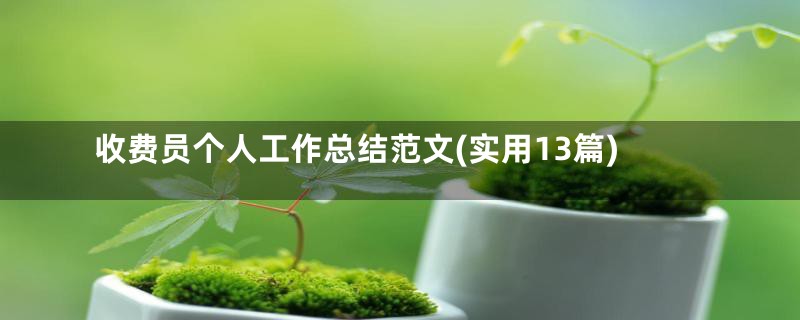 收费员个人工作总结范文(实用13篇)