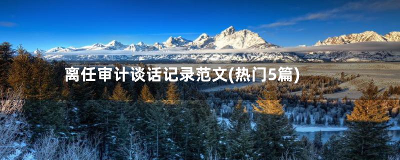 离任审计谈话记录范文(热门5篇)