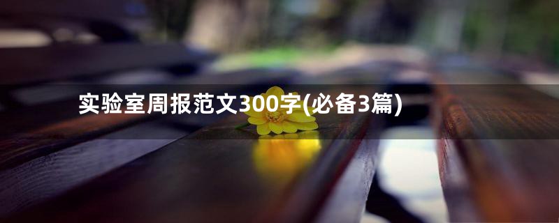 实验室周报范文300字(必备3篇)